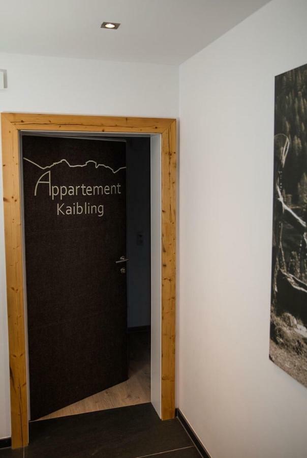 Almnest * Schladming