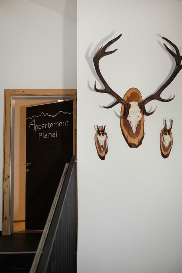 Almnest Apartmán
