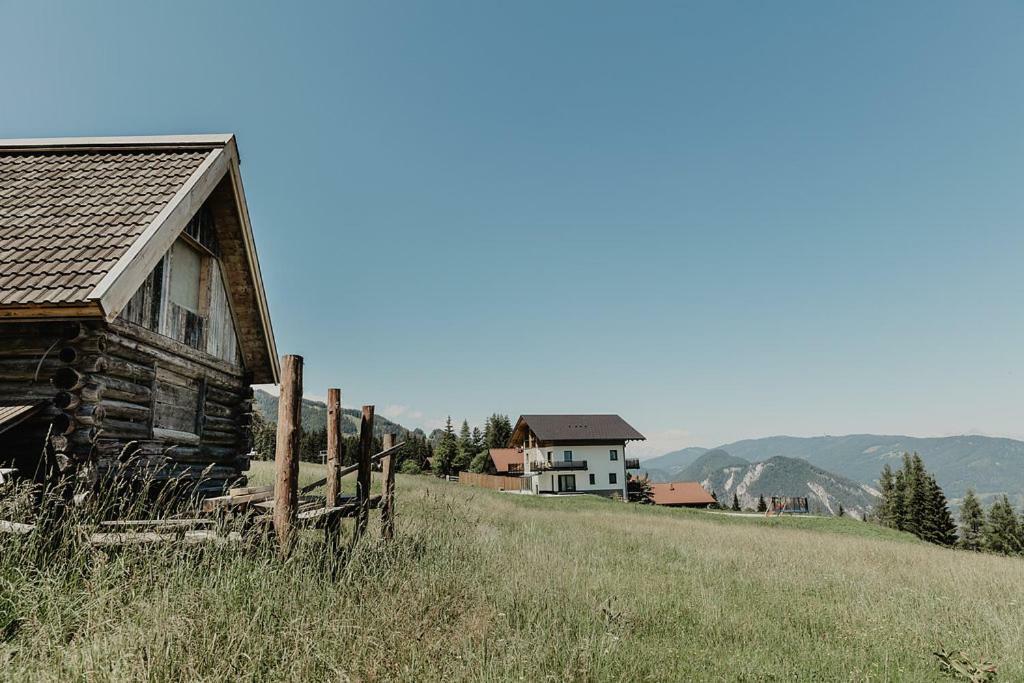 Almnest * Schladming